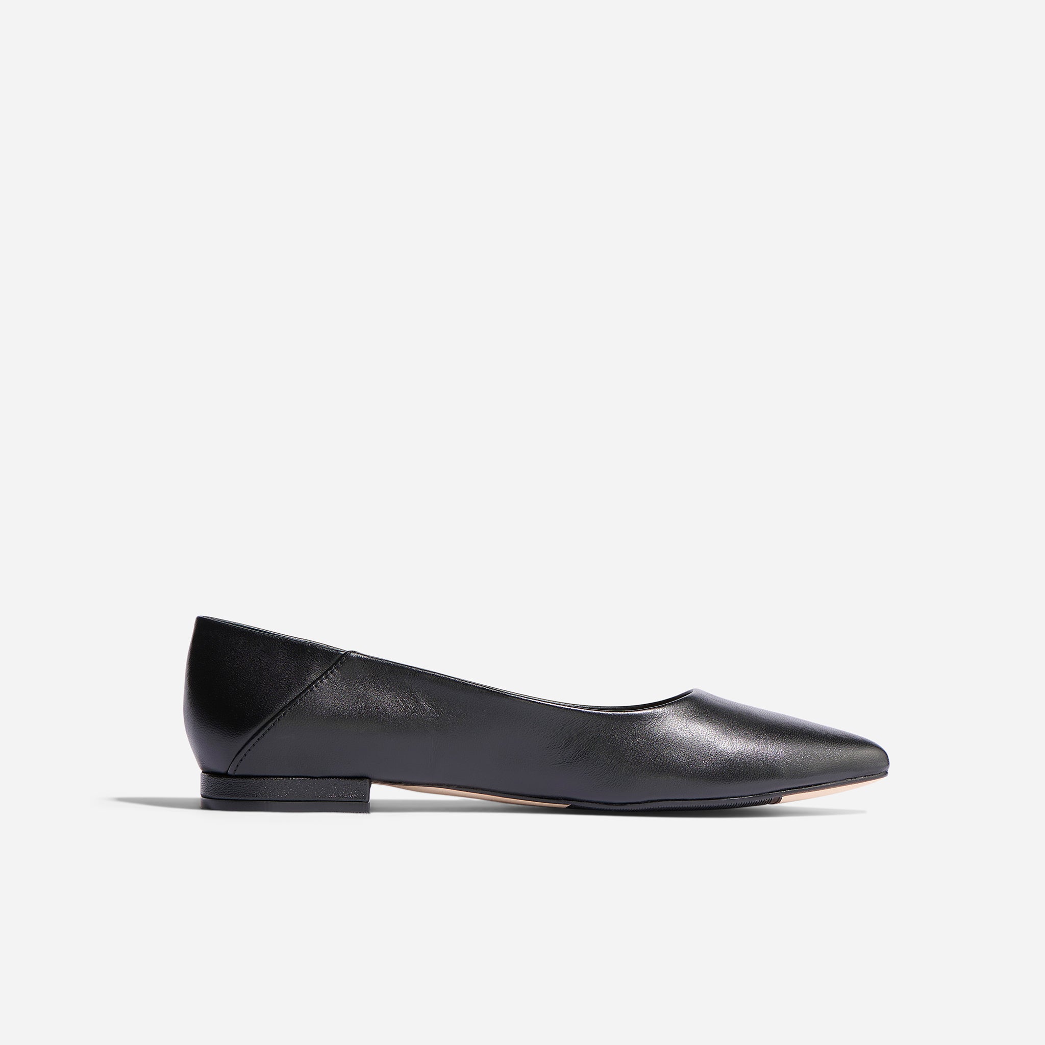 Fina Pointed Toe Flat Black