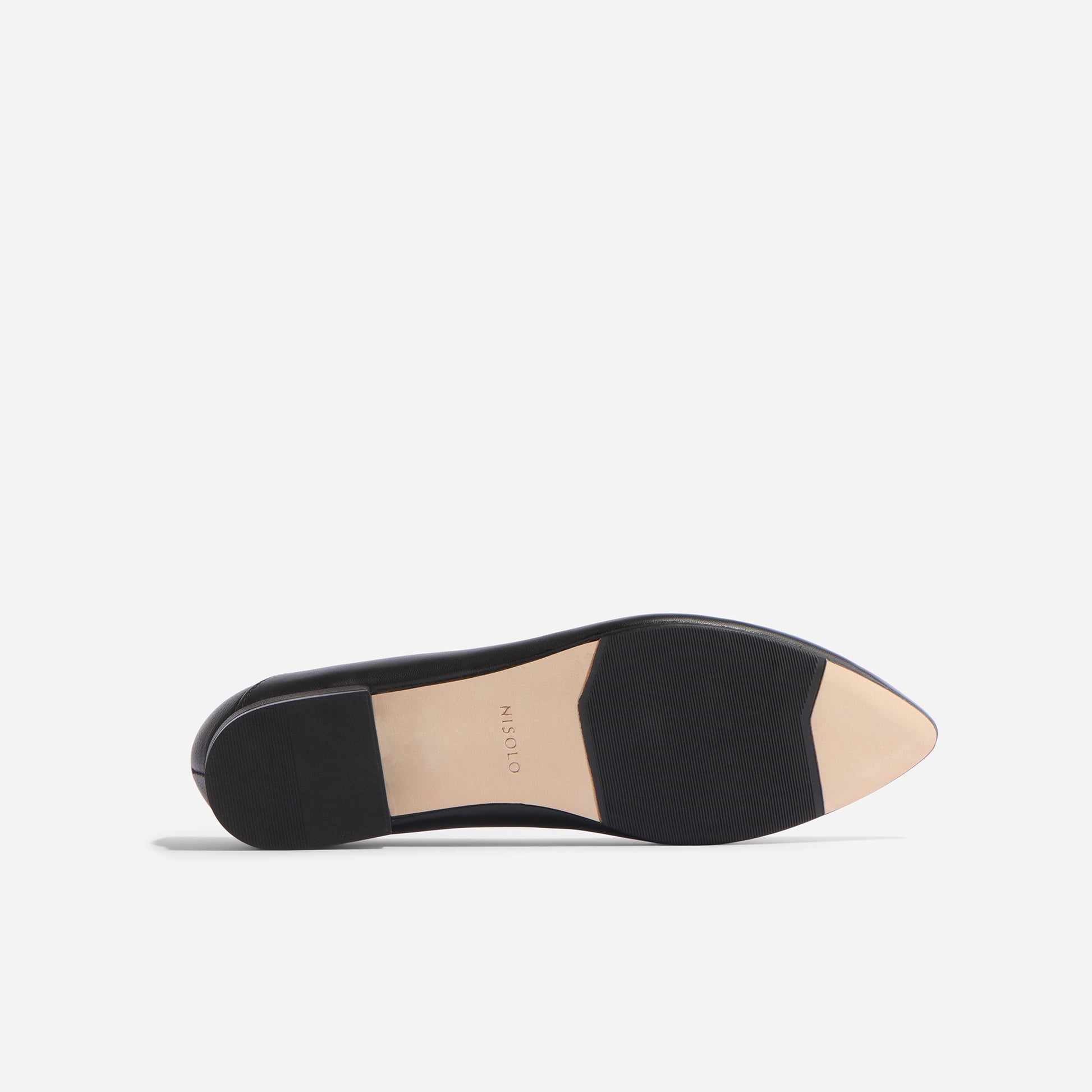 Fina Pointed Toe Flat Black